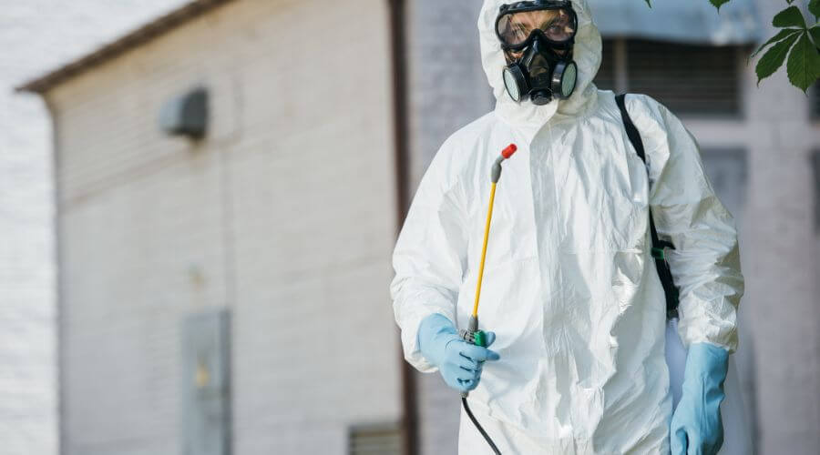 Professional pest control services in Fayetteville - Judith Pest Control Fayetteville